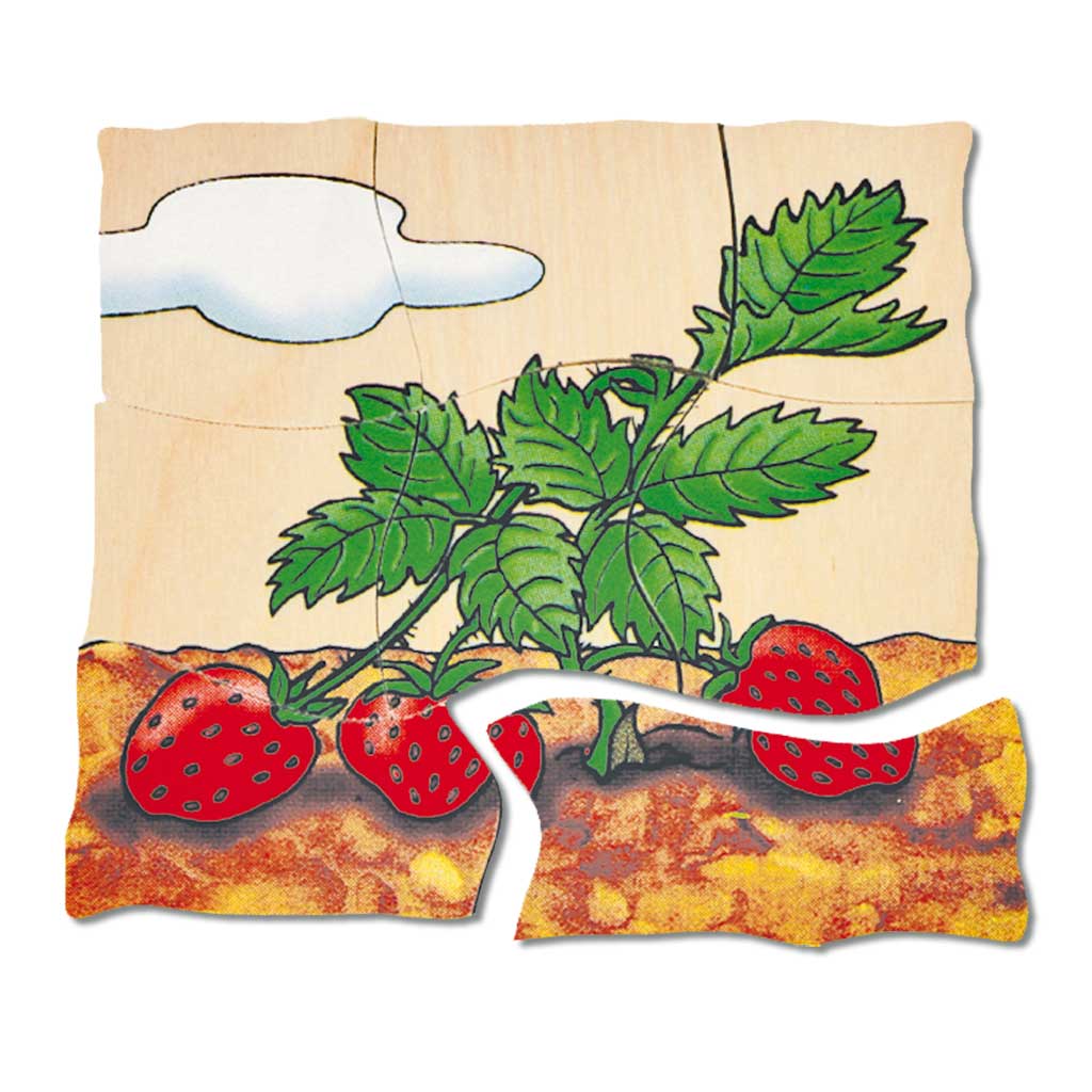 Lagenpuzzle Erdbeere