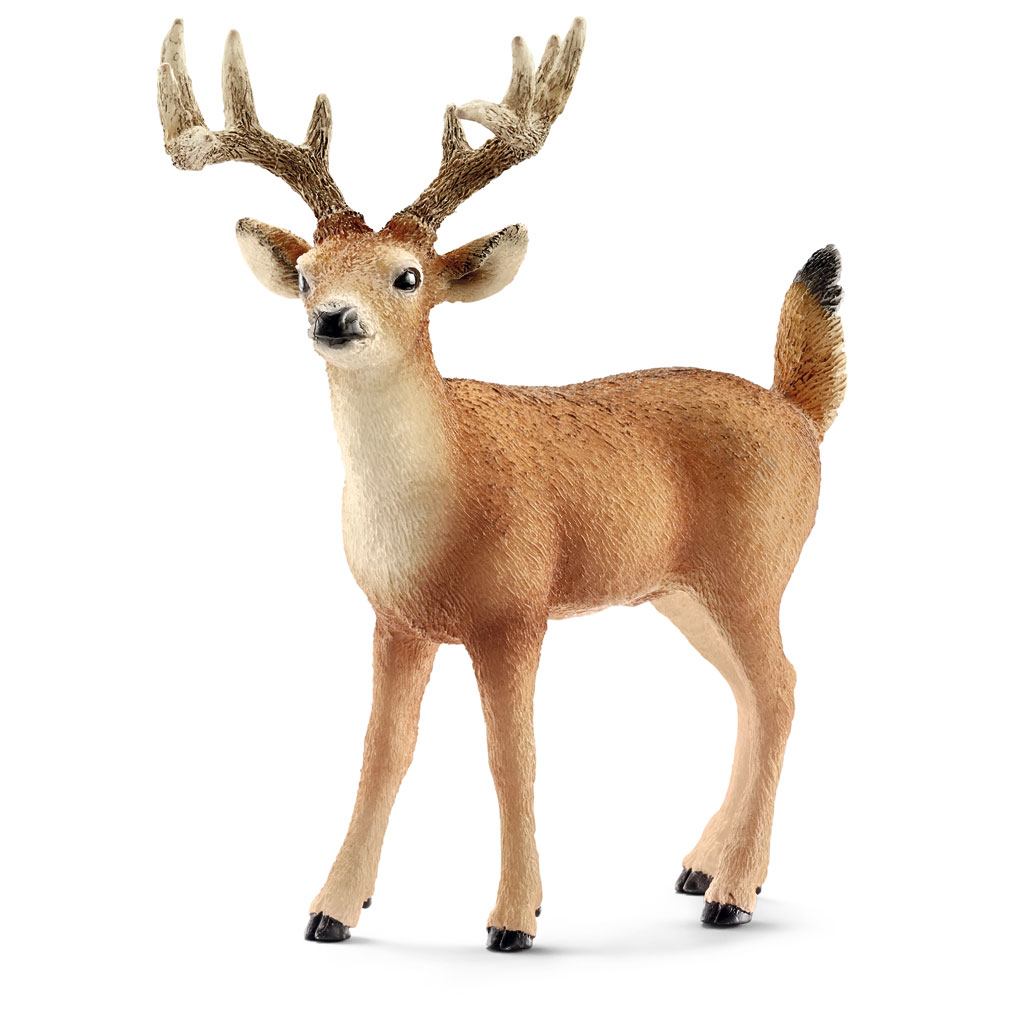 temp81895-schleich-tier-weisswedelhirsch6lY9DioJND3rV Schleich® Heimische Wildtiere im Set