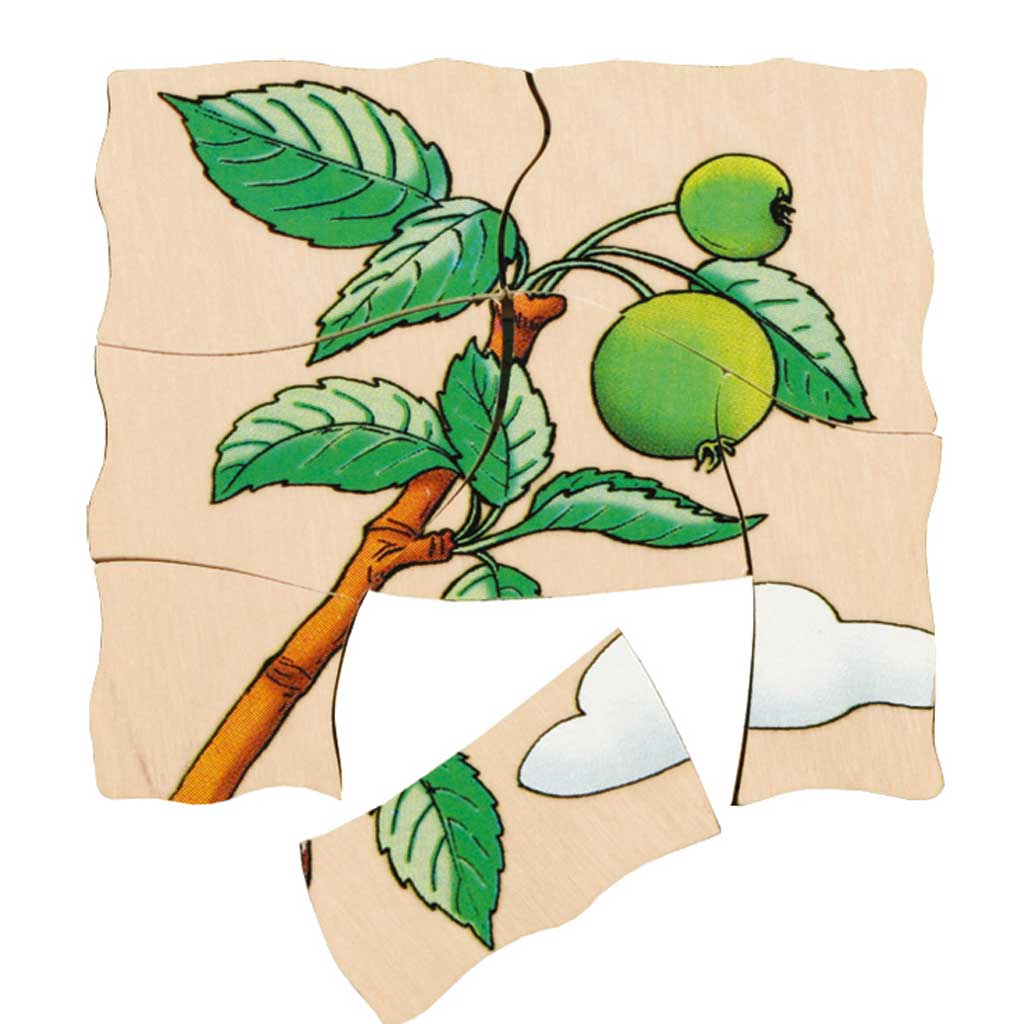 Lagenpuzzle Apfel