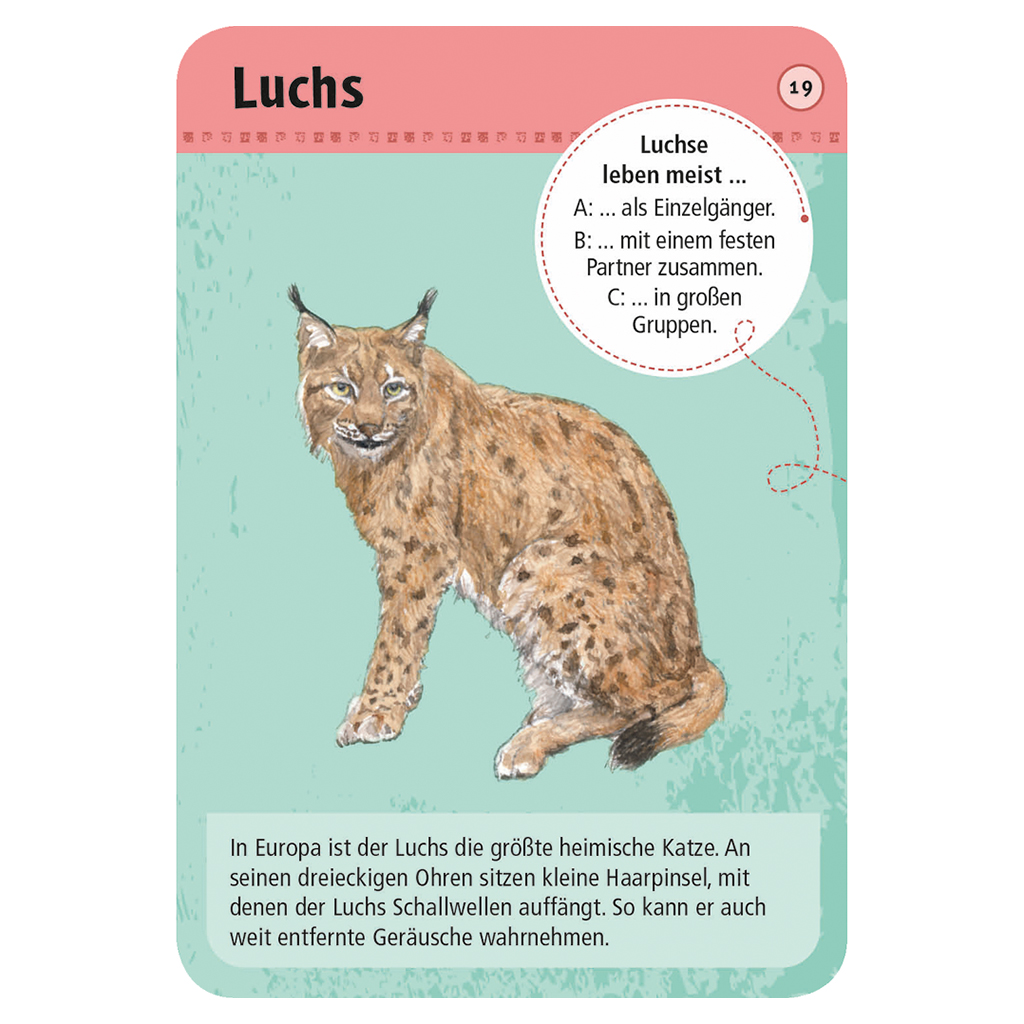 50 Wald- & Wildtiere entdecken und bestimmen