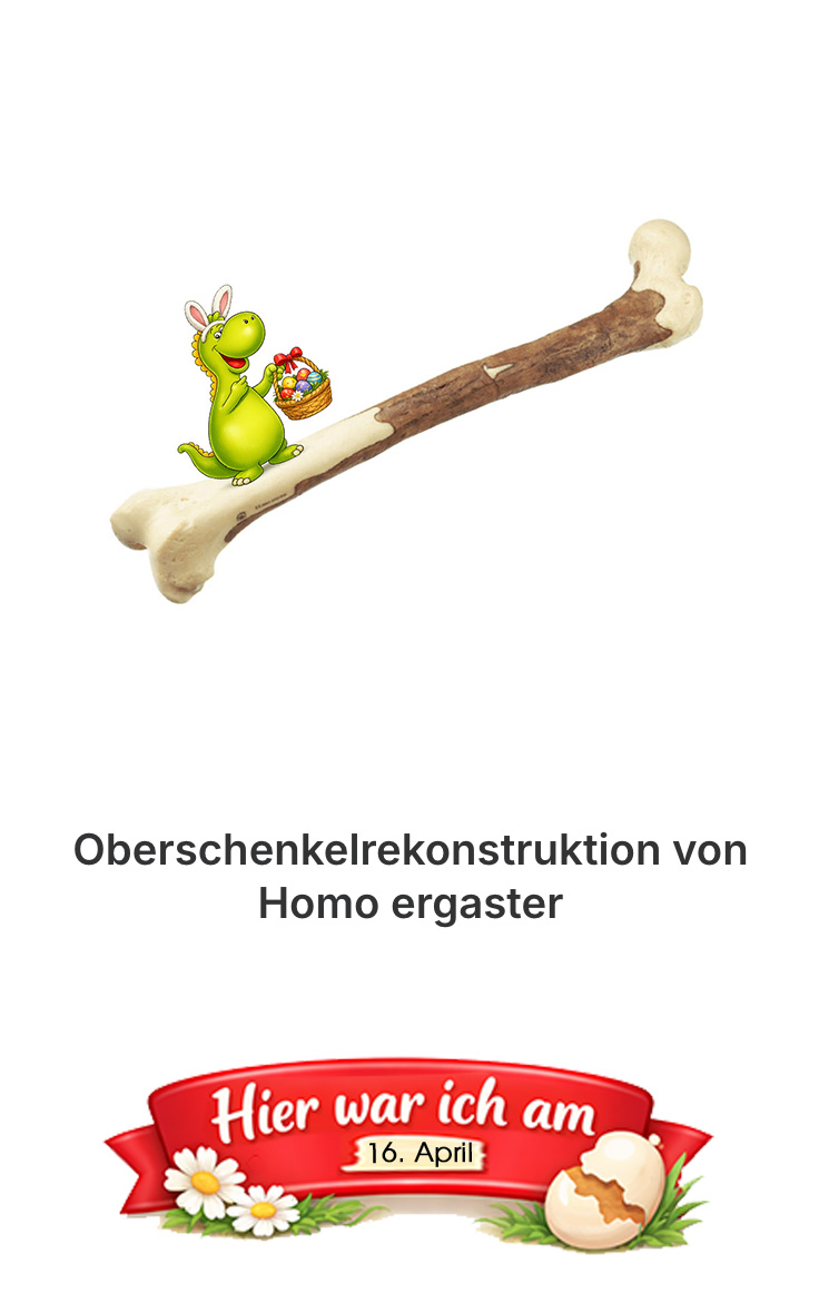 Auf diesem Bild ist 20260403_Aufloesung_M-30480_grosses-messrad-wiemann-lehrmittel-Osteraktion zu sehen