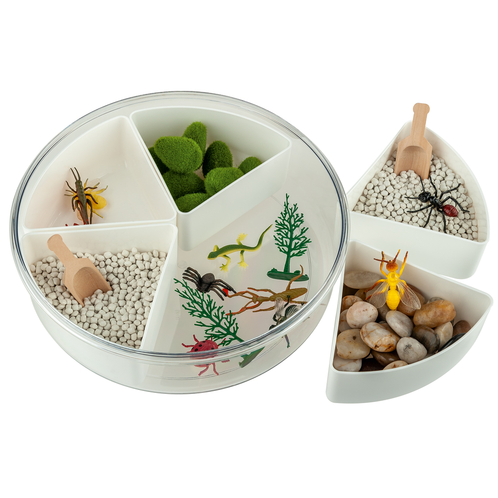 Sensorik-Kasten Insekten Sensorik-Kasten Insekten