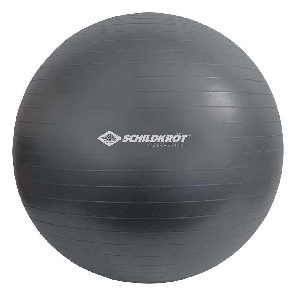 Gymnastikball 75cm, für Körpergröße 176-185cm, incl. Fußpumpe Gymnastikball 75cm, für Körpergröße 176-185cm, incl. Fußpumpe