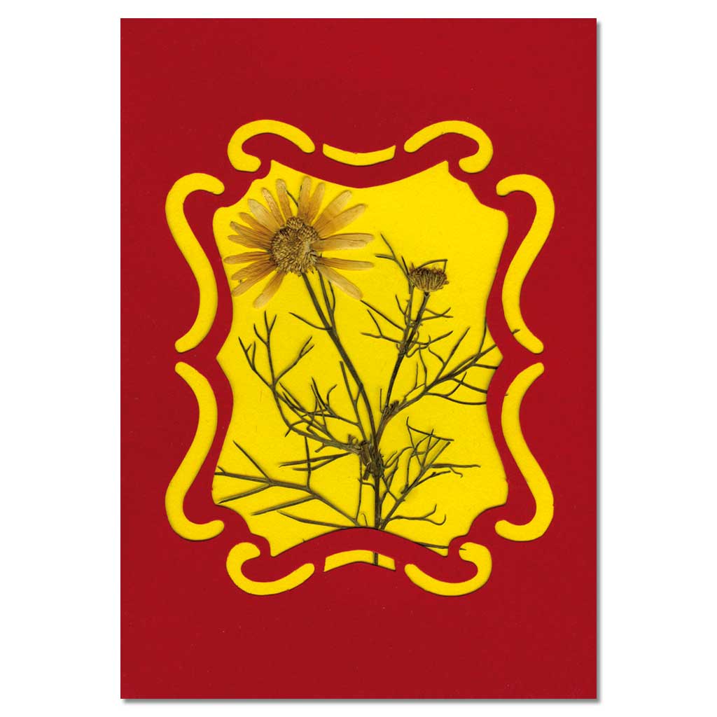 Große Pflanzenpresse Große Pflanzenpresse