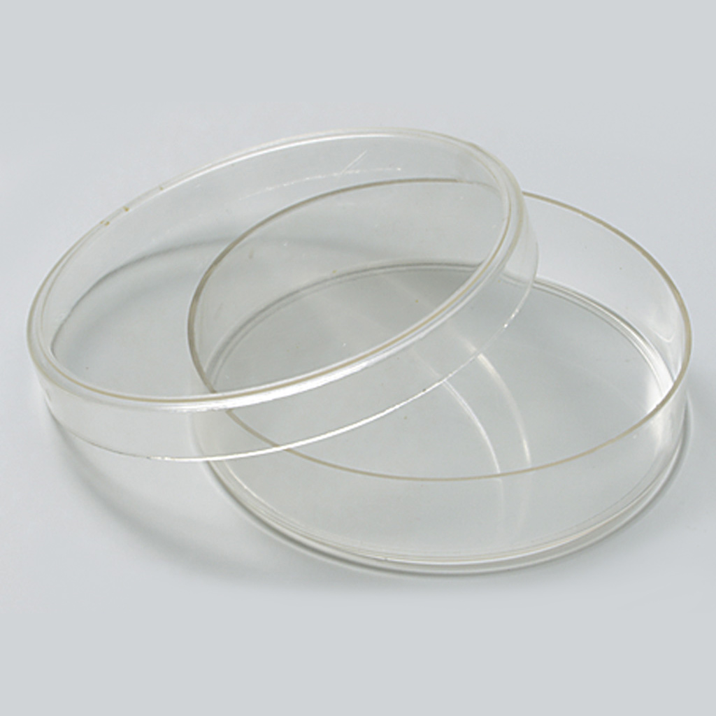 temp510104JoJTl74j1zab Petrischale, Kunststoff