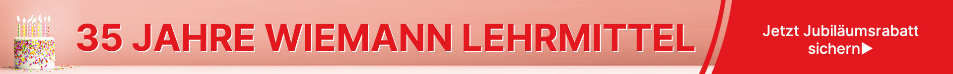 Wiemann Lehrmittel Pirate Chalk With Gold Dust, Pack Of 6 (Gold