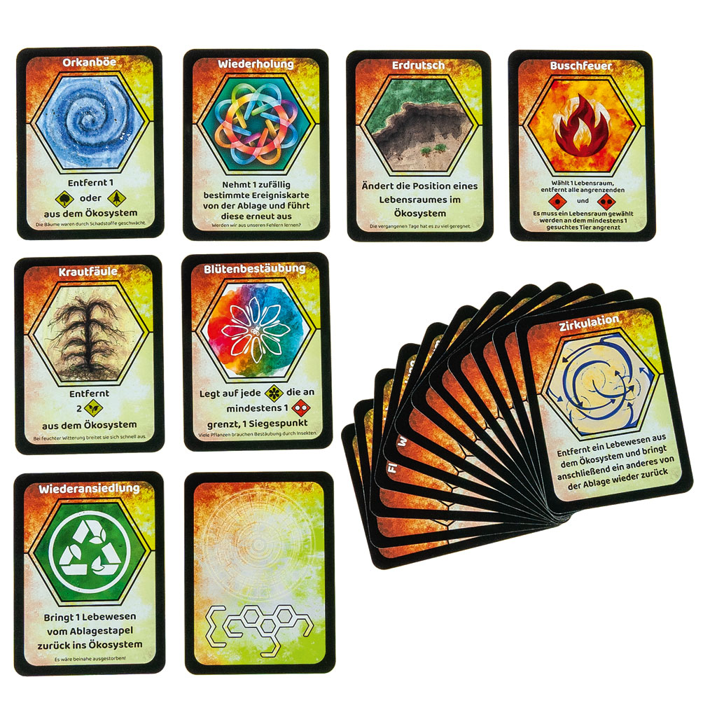 Ecogon - Das Spiel Ecogon - Das Spiel