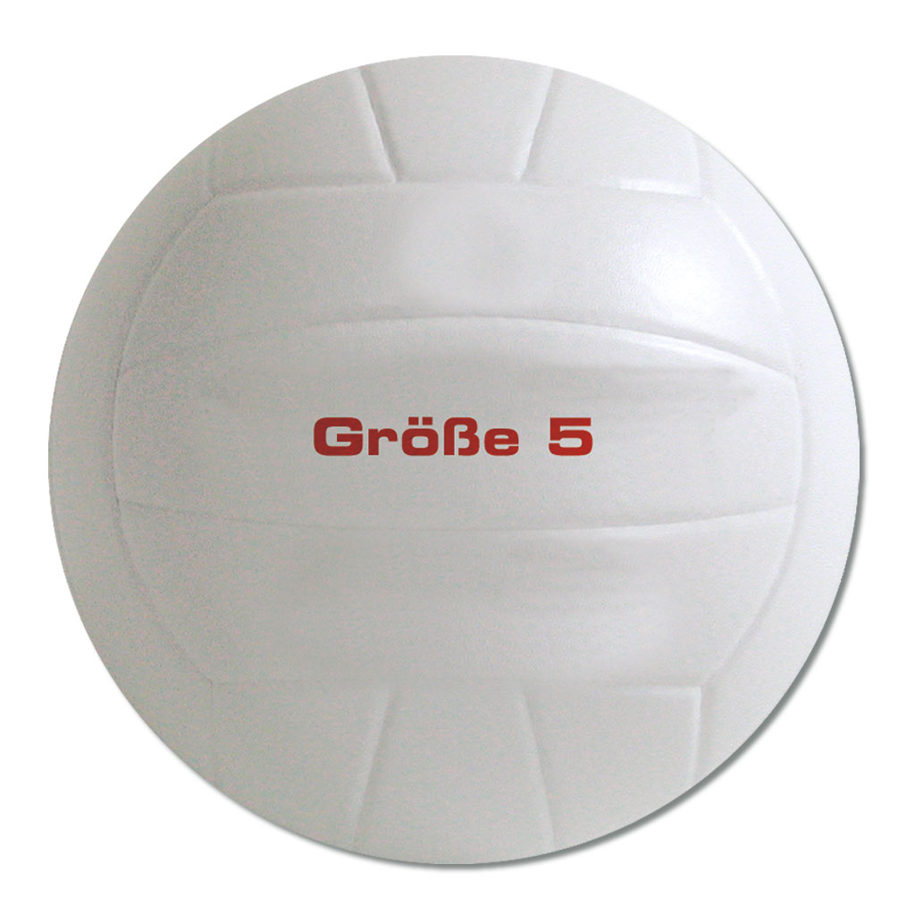 Schul-Volleyball (Größe 5)