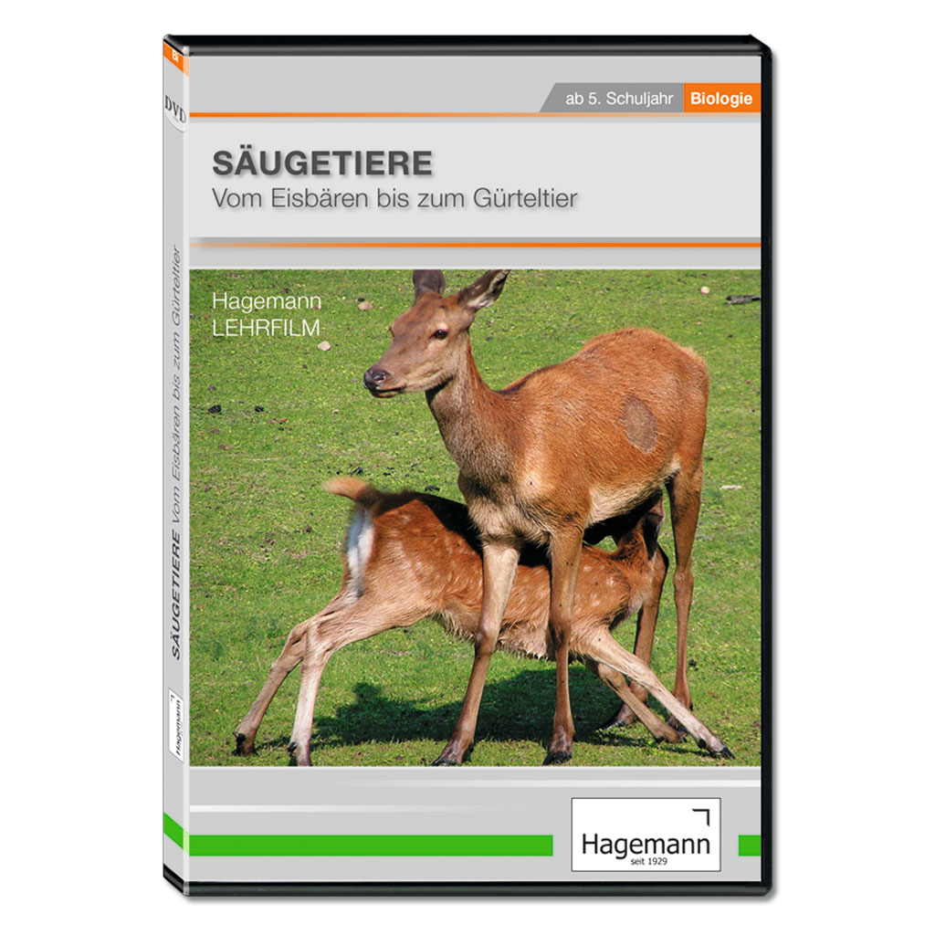 Säugetiere