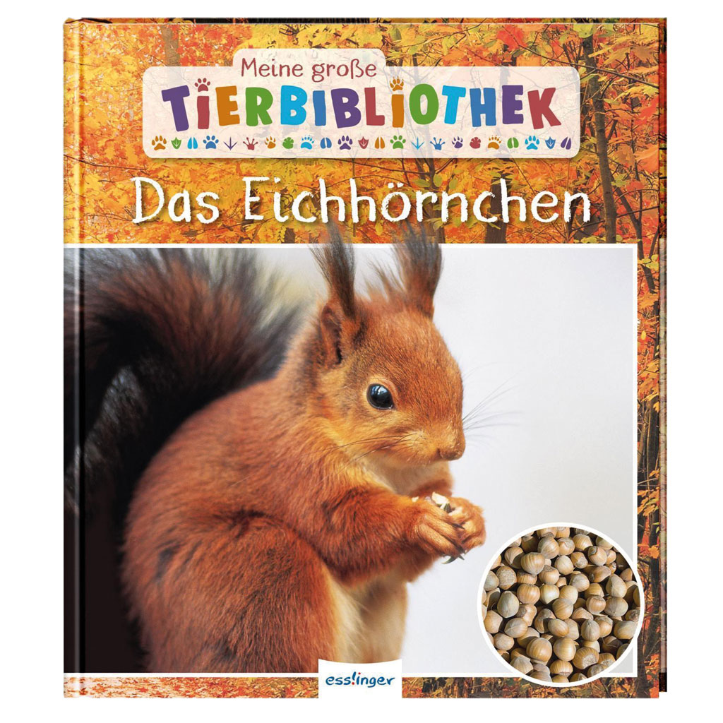 Meine große Tierbibliothek Das Eichhörnchen