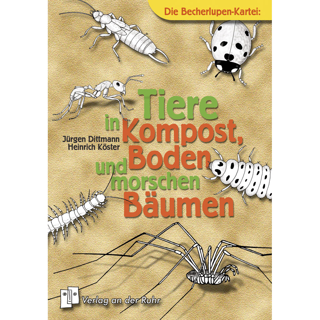 Kartei - Tiere in Kompost, Boden und morschen Bäumen