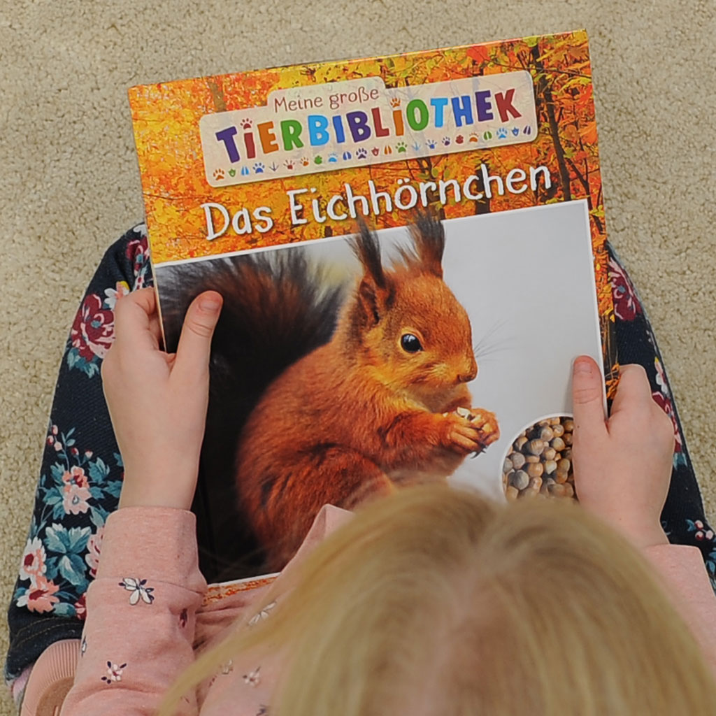Meine große Tierbibliothek Das Eichhörnchen