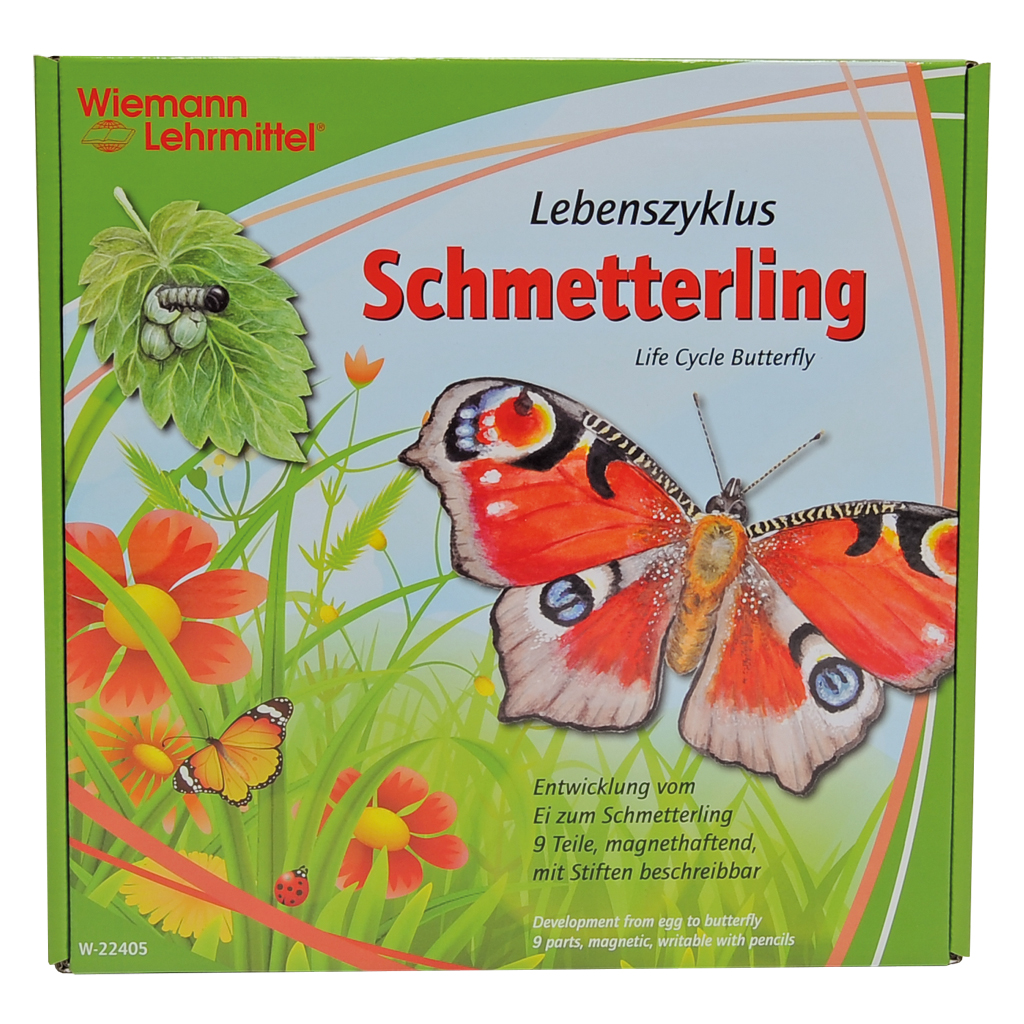 Vom Ei zum Schmetterling