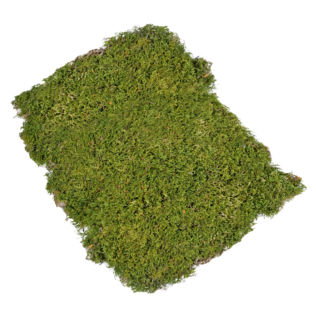 Moos zum Basteln und Dekorieren, 100 g