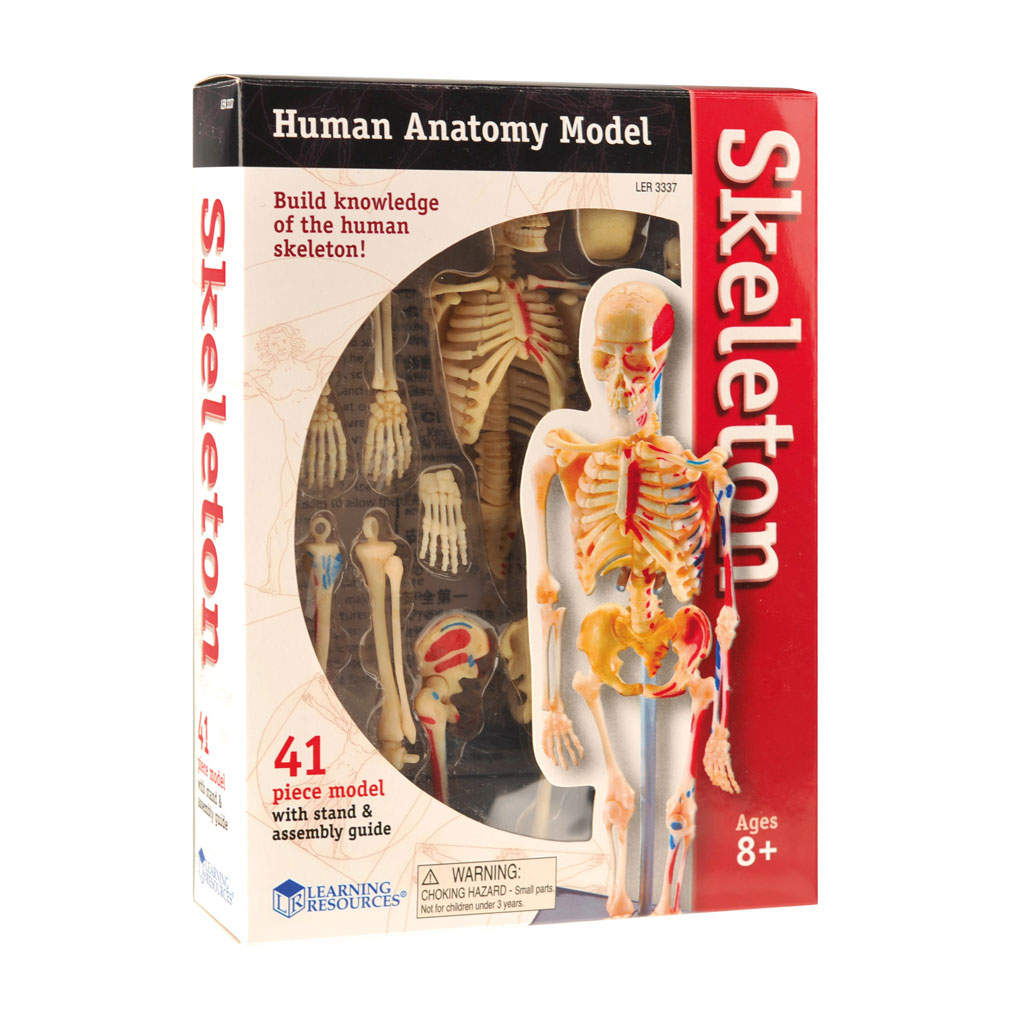 temp22332_1Jex4fiZf4Xfx9 Skelett Puzzle - 41 Teile