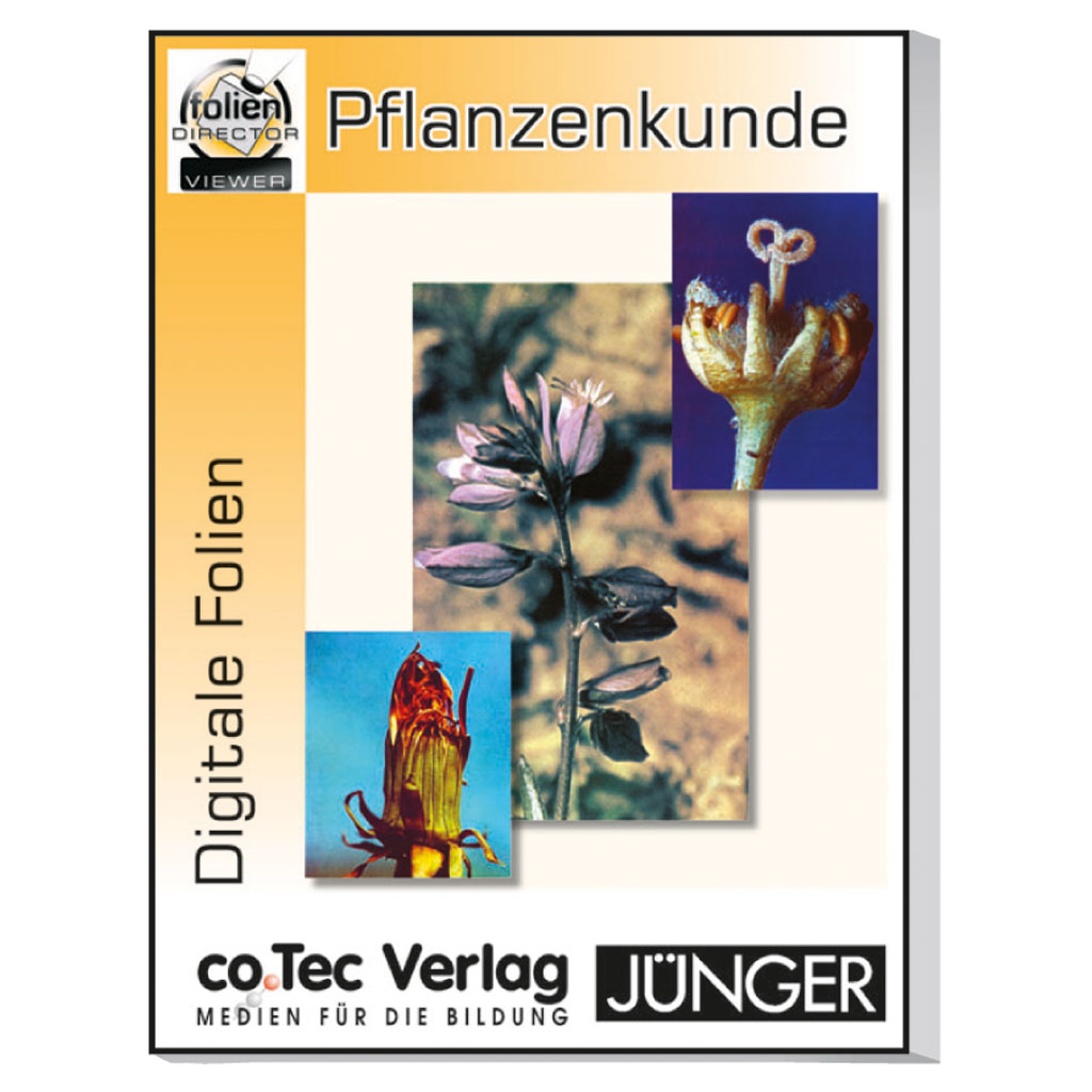 Auf diesem Bild ist das Produkt mit der Art.Nr.: W-21661 zu sehen