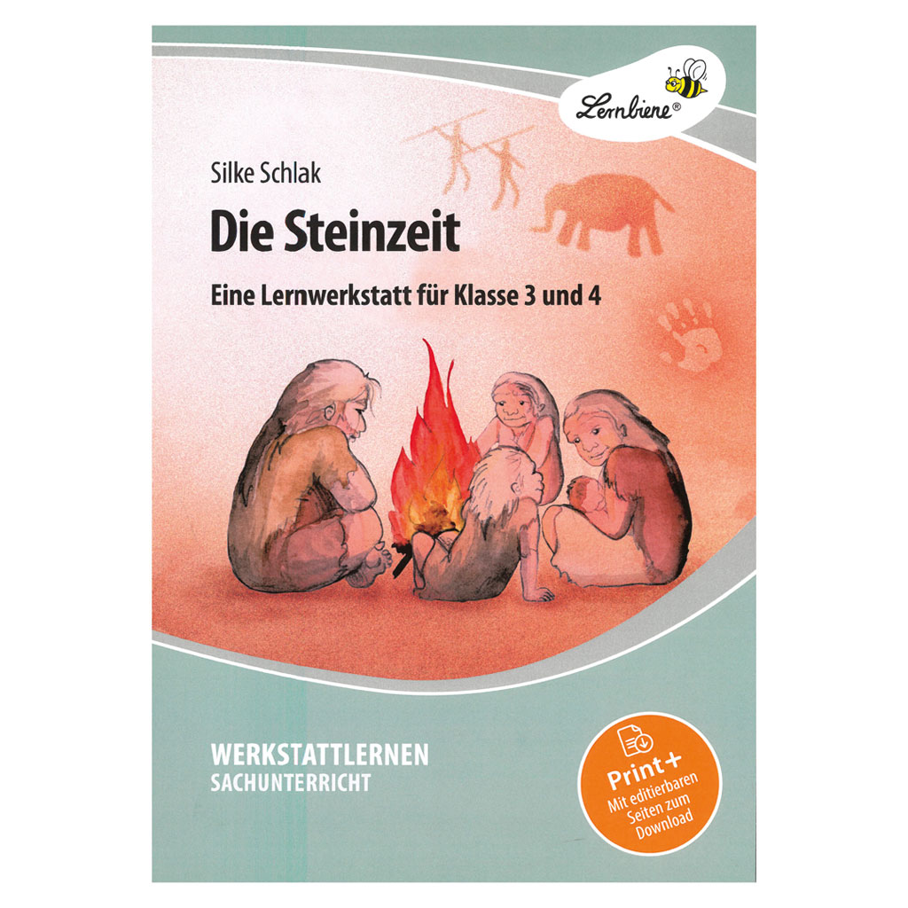 Die Steinzeit