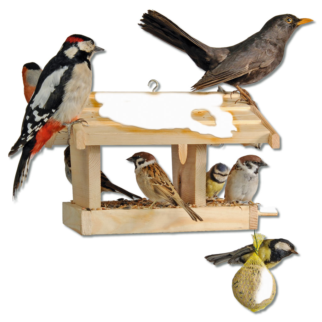 temp92674d-futterhausOMaP6U4byH83P Futterhaus für Vögel – Holz-Bausatz für Kinder