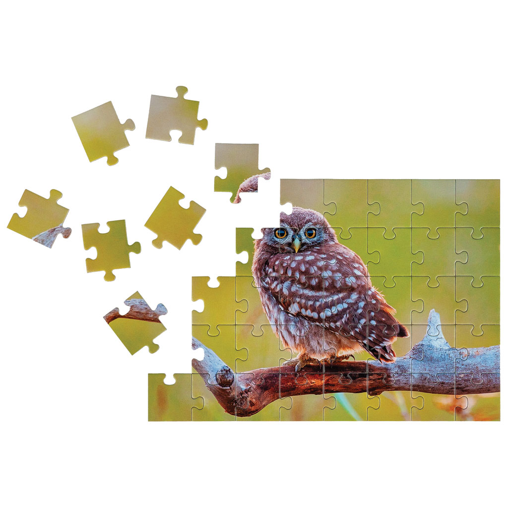 MATHPUZZLES – Addition & Subtraktion bis 100