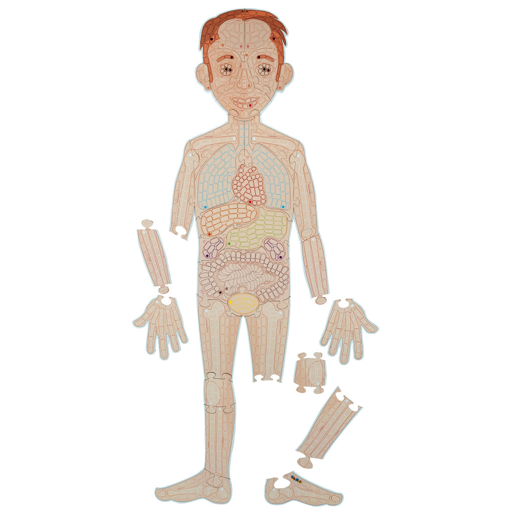 PlayMais® Anatomie-Puzzle