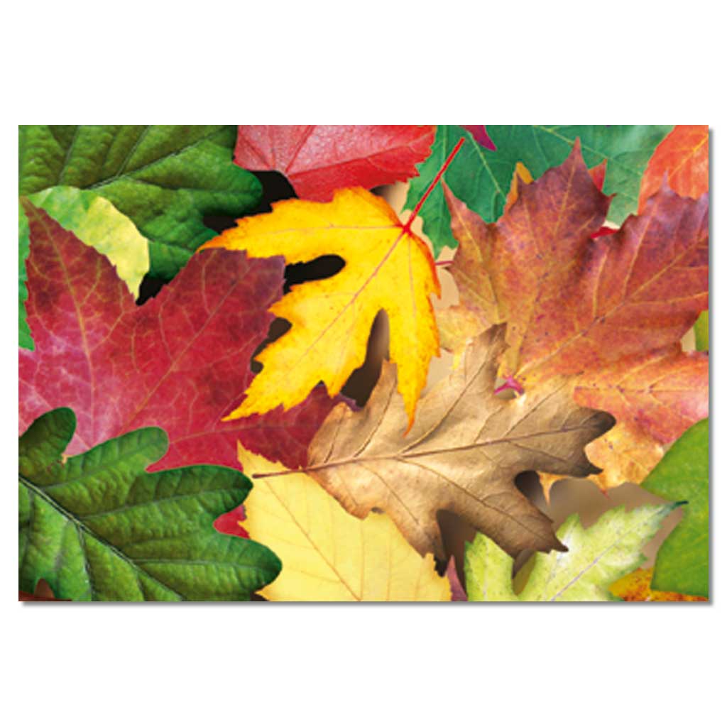 Transparentpapier 115 g/m²