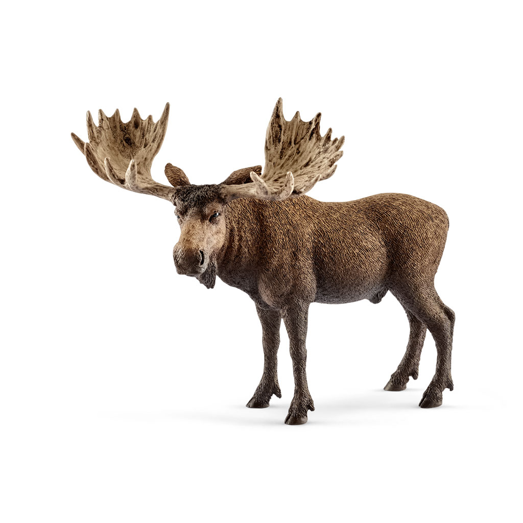 temp81888-schleich-elch-bulleNKgX6a4fZjmtG Auf diesem Bild ist das Produkt mit der Art.Nr.: W-81888 zu sehen