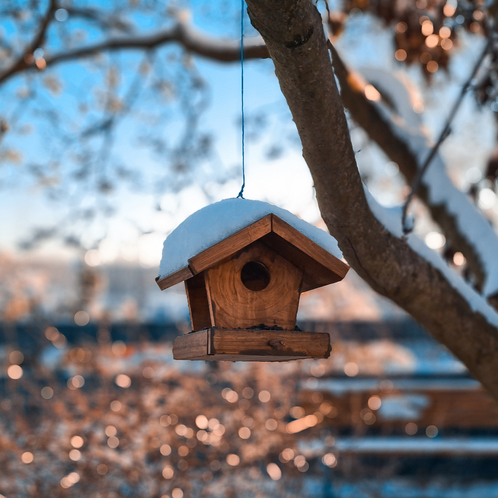 Futterhaus für Vögel – Holz-Bausatz für Kinder Futterhaus für Vögel – Holz-Bausatz für Kinder