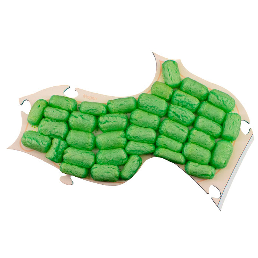 PlayMais® Anatomie-Puzzle