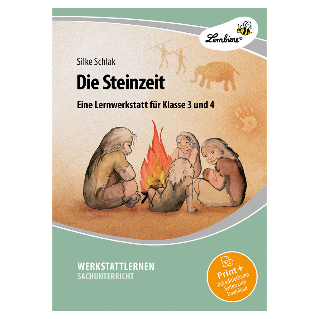 Die Steinzeit