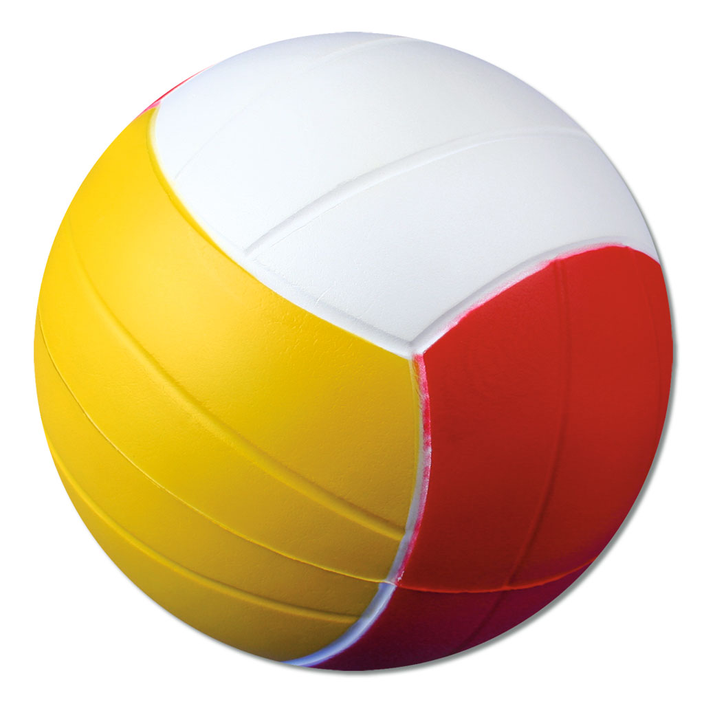 Ball-Schulset mit 9 Bällen im Ballnetz