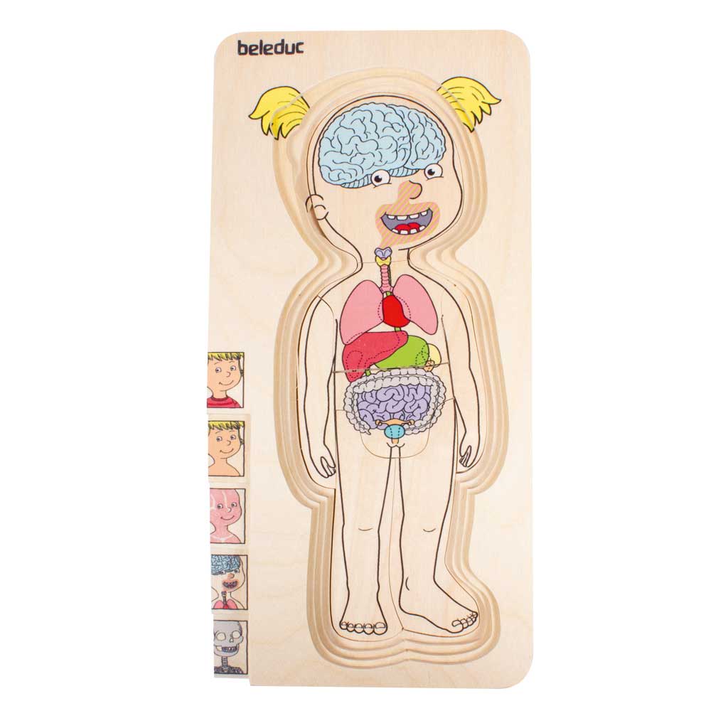 Lagenpuzzle „Körper“