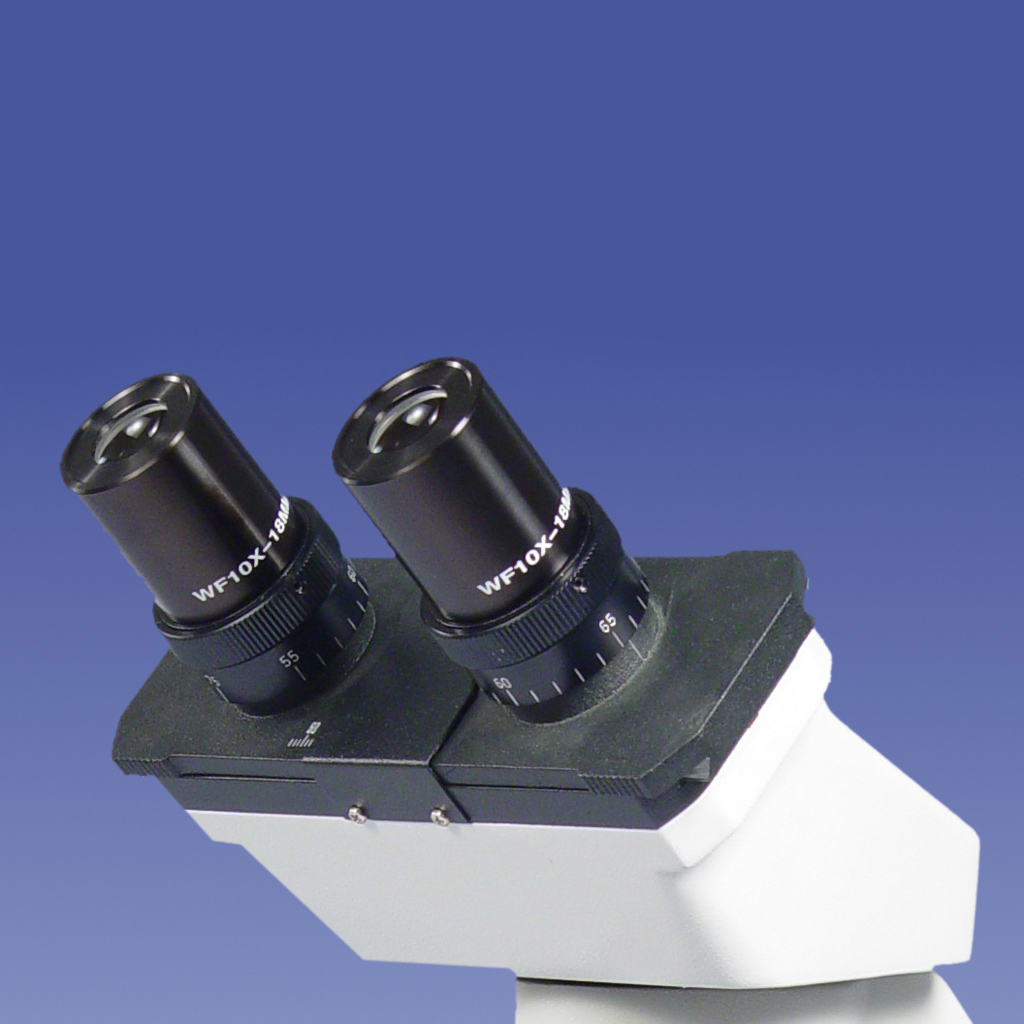 Binokulares Mikroskop SHB 45 – 40x bis 1000x Vergrößerung