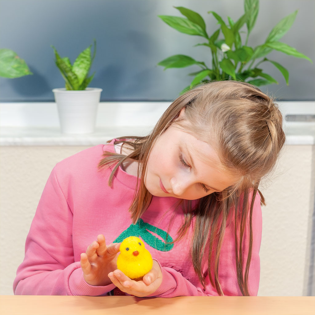 Osterküken aus Styropor, 5 Stück