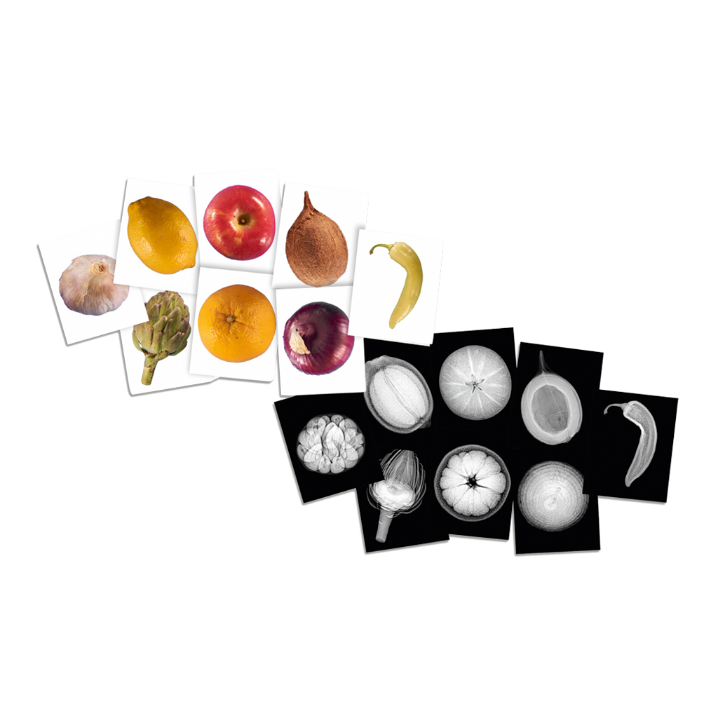 Röntgenbilder Pflanzen, 84 Teile-Bild Auf diesem Bild ist das Produkt mit der Art.Nr.: W-93881 zu sehen