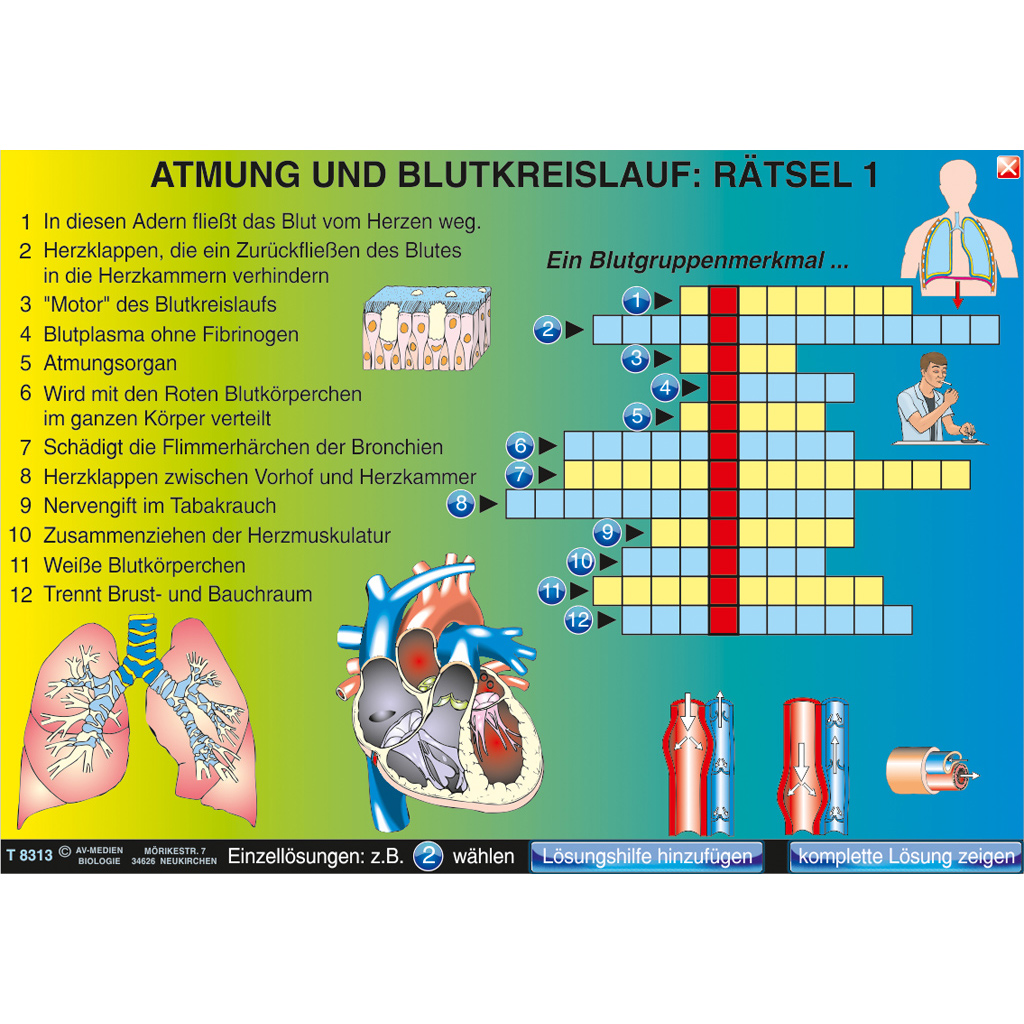 Interaktive digitale Tafelbilder HUMANBIOLOGIE 3