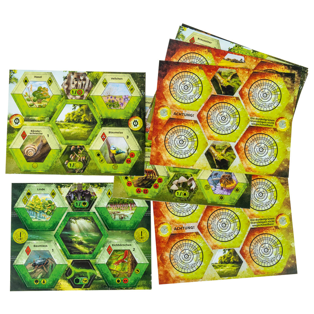 Ecogon - Das Spiel Ecogon - Das Spiel