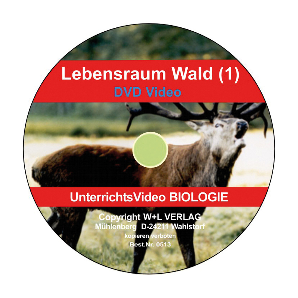 Lebensraum Wald - DVD Teil 1
