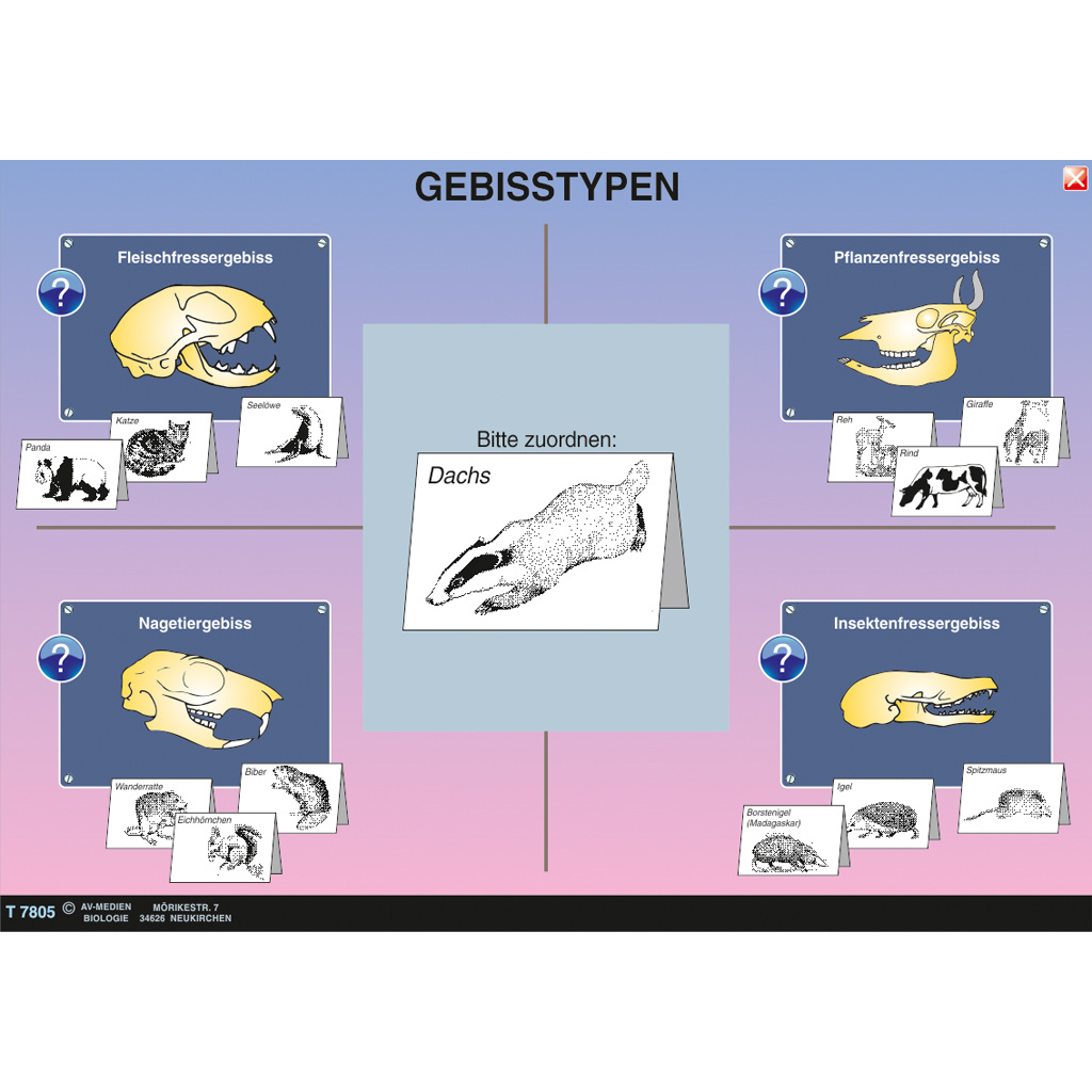 Interaktive digitale Tafelbilder ZOOLOGIE 3