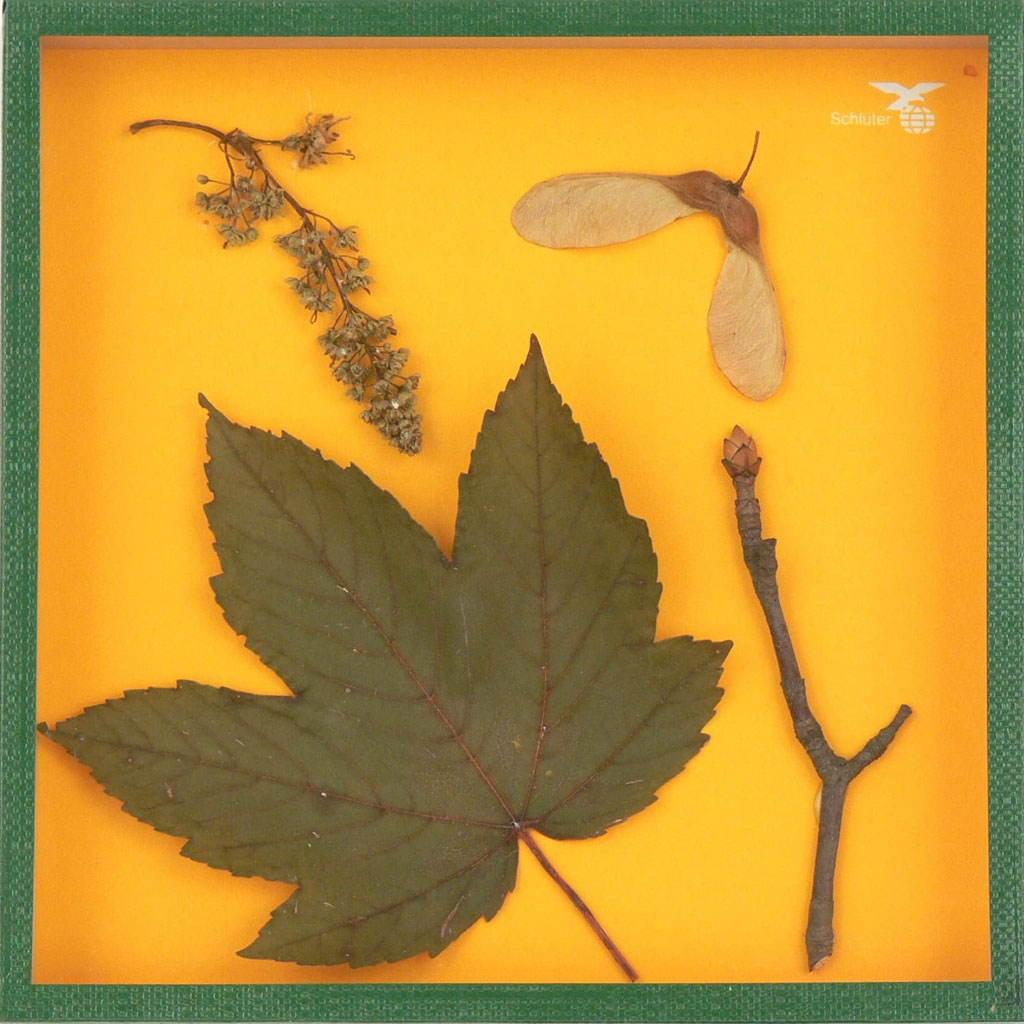 Auf diesem Bild ist das Produkt mit der Art.Nr.: W-2505 zu sehen