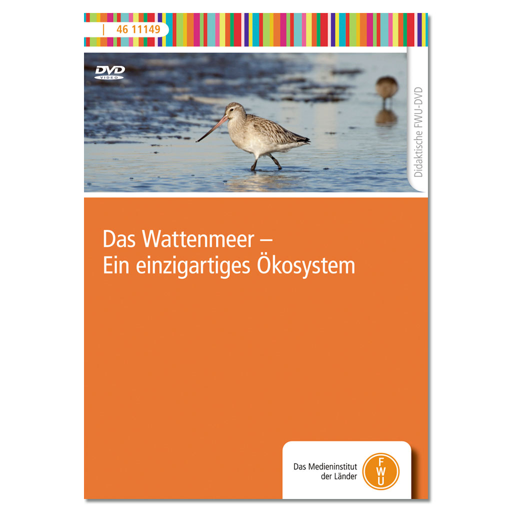 Das Wattenmeer – Ein einzigartiges Ökosystem - DVD