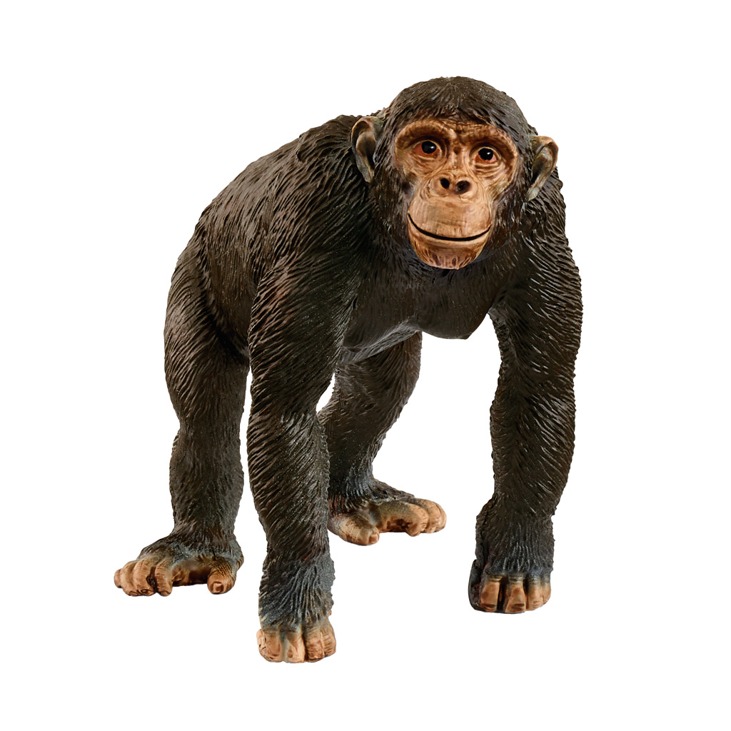 Auf diesem Bild ist das Produkt mit der Art.Nr.: W-83932 zu sehen