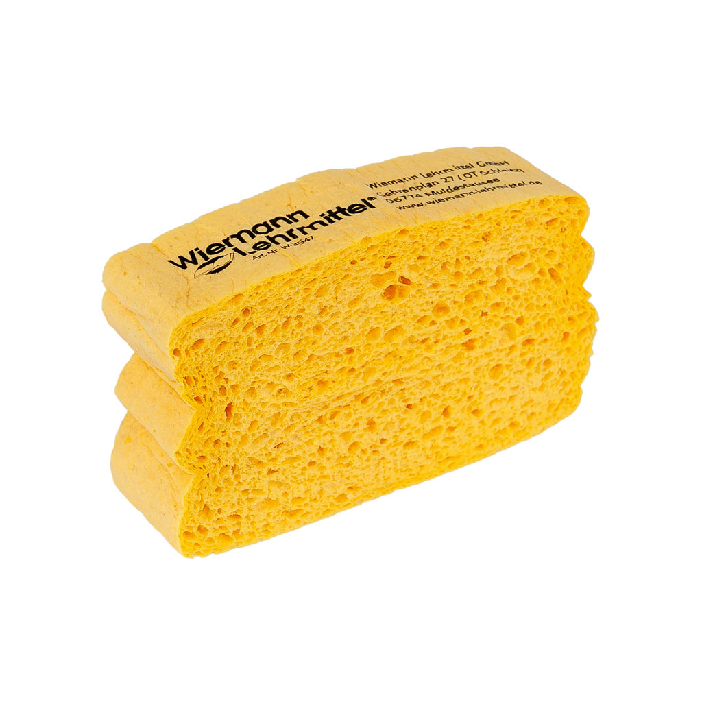 Quellschwamm für die Tafelreinigung Quellschwamm für die Tafelreinigung