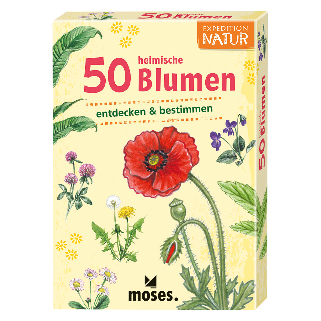 Auf diesem Bild ist das Produkt mit der Art.Nr.: W-84137 zu sehen