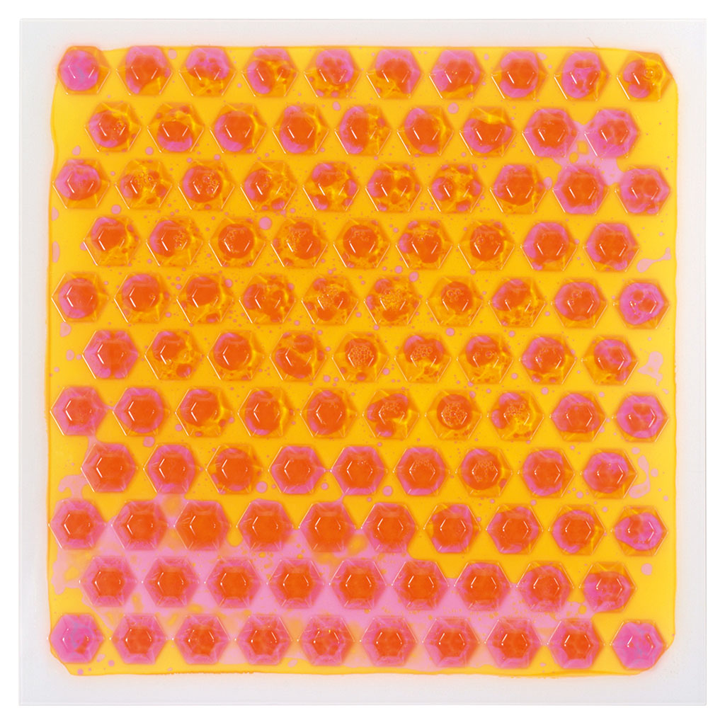 Sensorik-Platten Liquid, 6er-Set