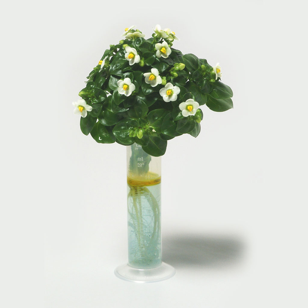 temp21780_dhaT3pcfwJdYP4 Gerätesatz „Pflanzen, Tiere, Lebensraum“