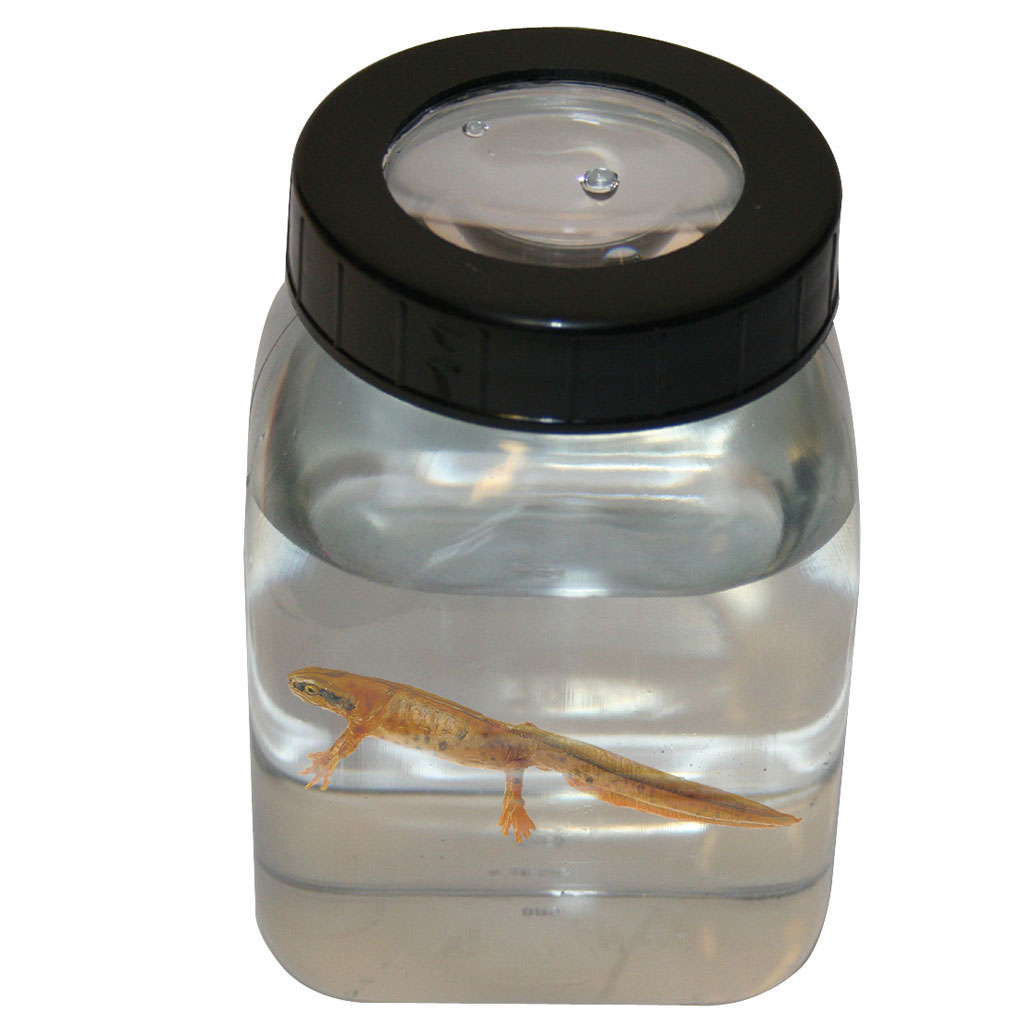 temp2561cLf1yVGEPyksP Flaschenlupe mit 3,5x Vergrößerung