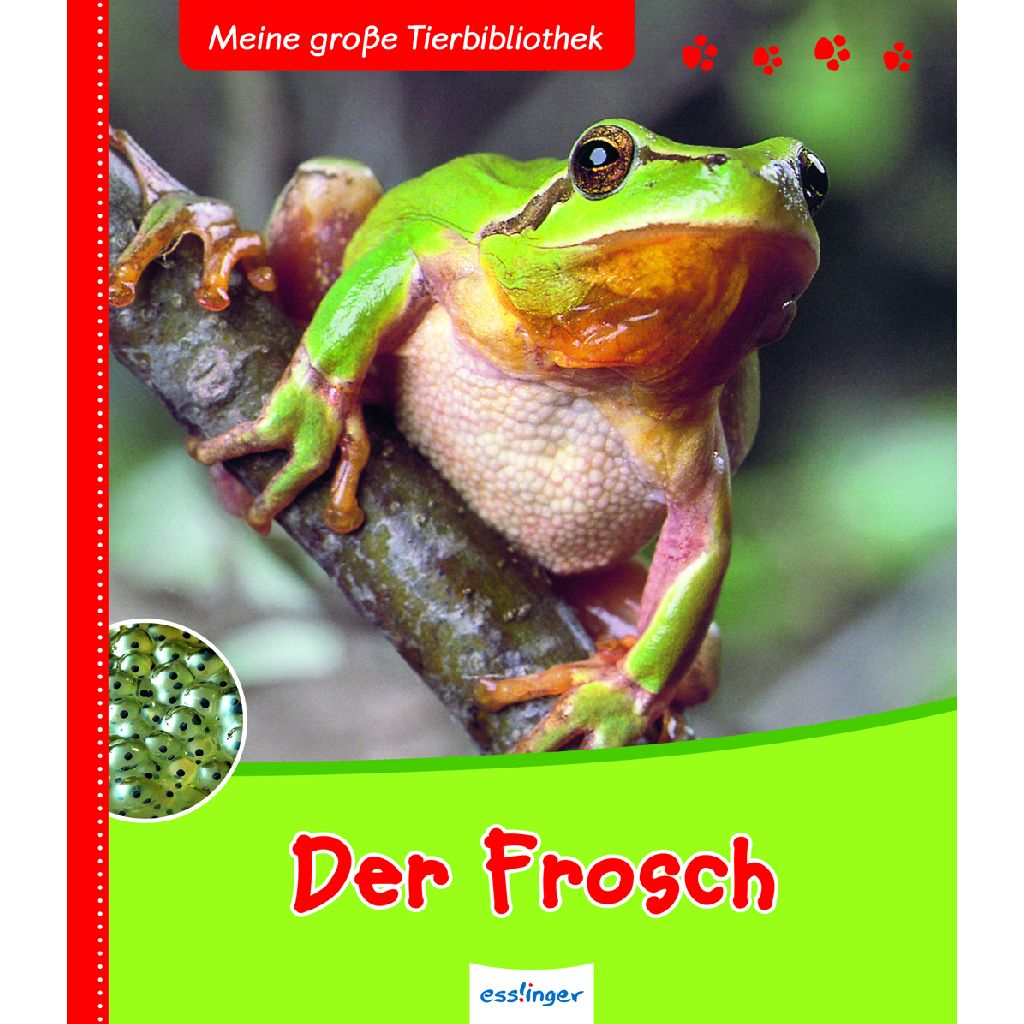 temp80319_tierbibo_frosch_coverjpKHTfkJ02WVb Meine große Tierbibliothek Der Frosch