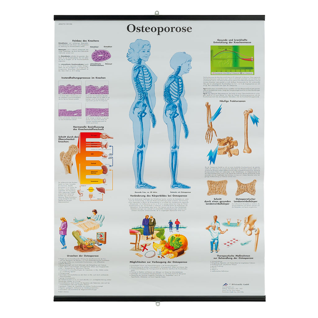 Auf diesem Bild ist das Produkt mit der Art.Nr.: W-21108UB zu sehen