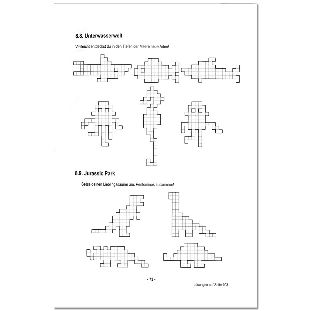 temp30447_3kgwdEzOVaoDUq Das Pentomino - Buch