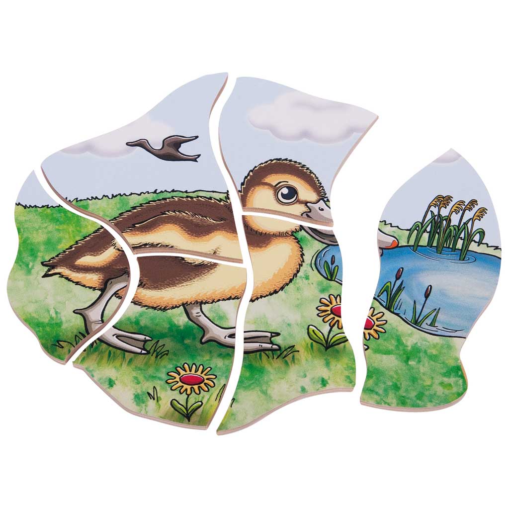 Lagenpuzzle Ente